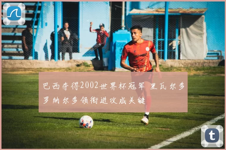 巴西夺得2002世界杯冠军 里瓦尔多罗纳尔多领衔进攻成关键