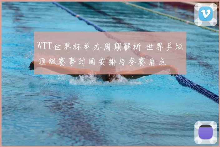 WTT世界杯举办周期解析 世界乒坛顶级赛事时间安排与参赛看点