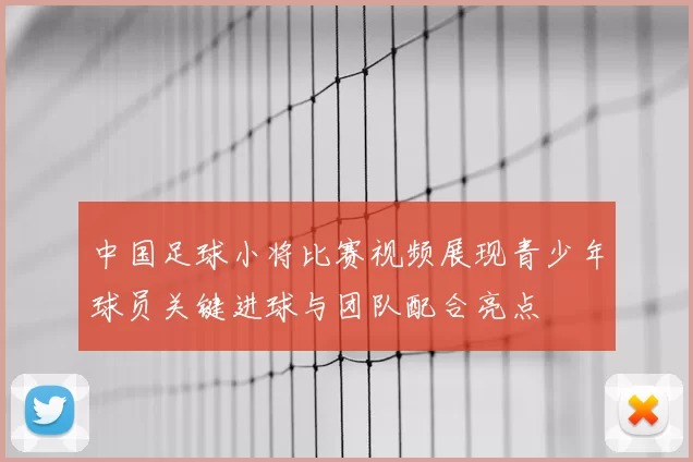 中国足球小将比赛视频展现青少年球员关键进球与团队配合亮点