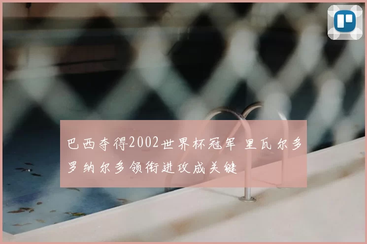 巴西夺得2002世界杯冠军 里瓦尔多罗纳尔多领衔进攻成关键
